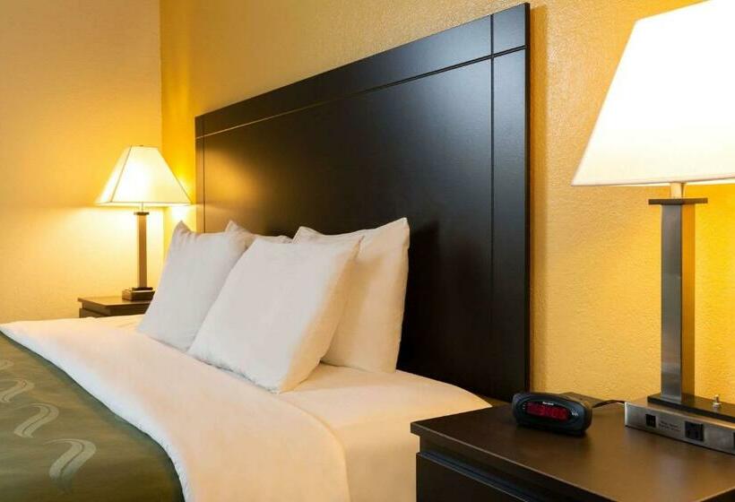 Стандартный Номер Кровать Кинг, Quality Inn At Arlington Highlands
