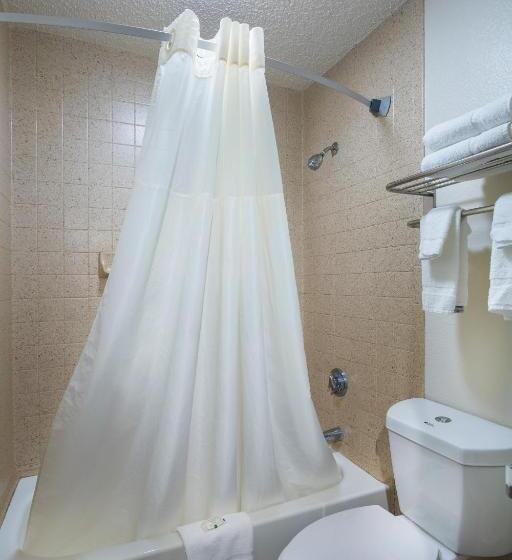 Номер Стандарт 2 Двуспальные Кровати, Quality Inn At Arlington Highlands