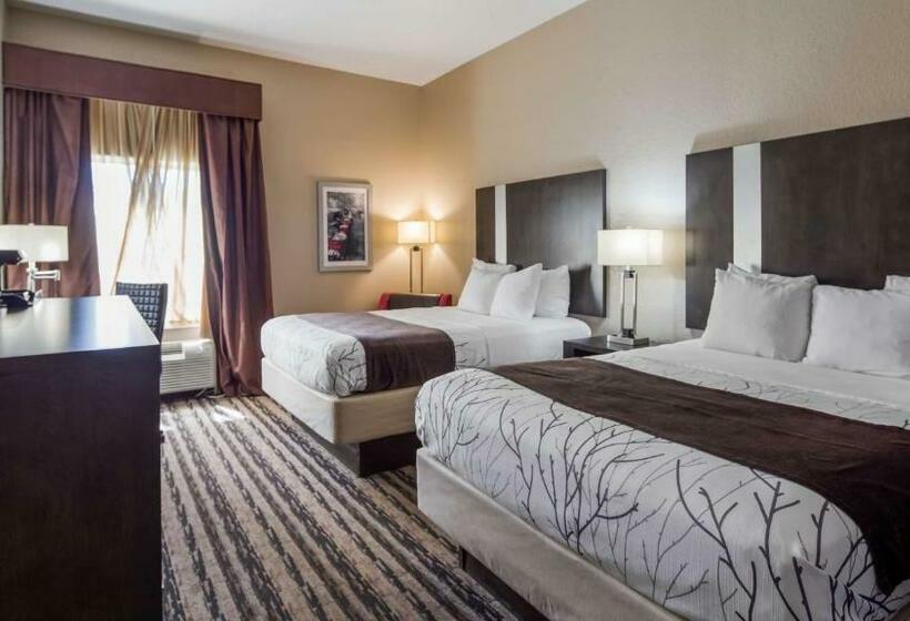 Номер Стандарт, Best Western Boerne Inn & Suites