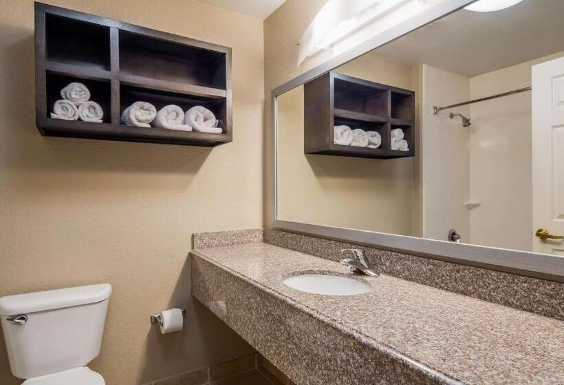 Стандартный Номер Кровать Кинг, Best Western Boerne Inn & Suites