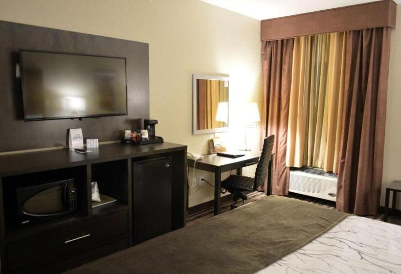 Стандартный Номер Кровать Кинг, Best Western Boerne Inn & Suites