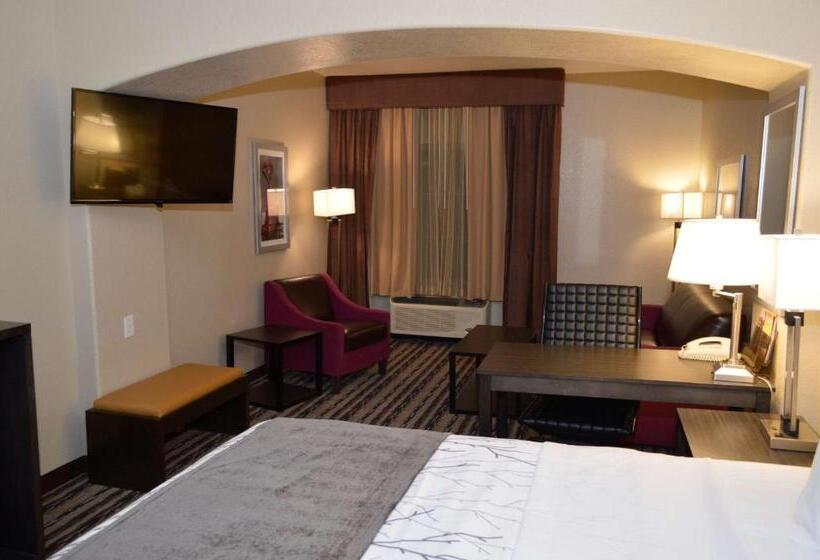 Люкс Кровать Кинг, Best Western Boerne Inn & Suites