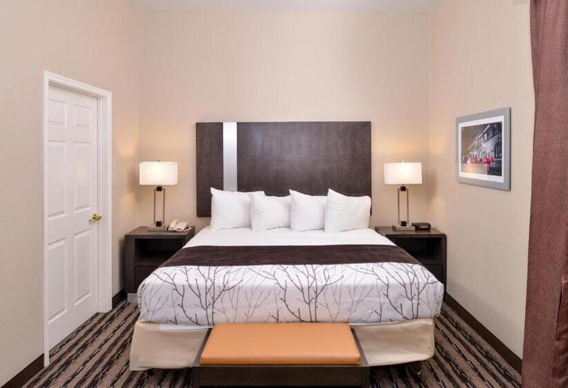 Люкс Адаптированный для Инвалидов, Best Western Boerne Inn & Suites