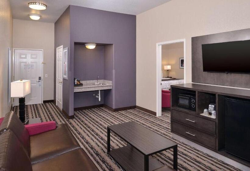 Suíte para Deficientes Físicos, Best Western Boerne Inn & Suites