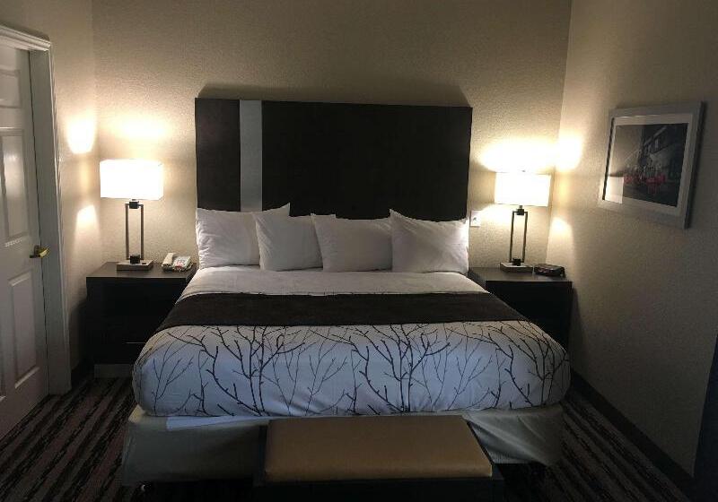 Люкс Кровать Кинг, Best Western Boerne Inn & Suites