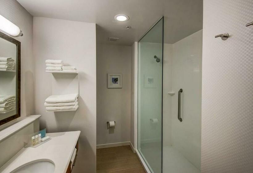 이그제큐티브 룸 킹사이즈 침대, Hampton Inn By Hilton Plant City