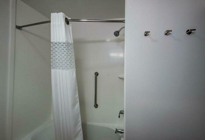스탠다드 룸, Hampton Inn By Hilton Plant City