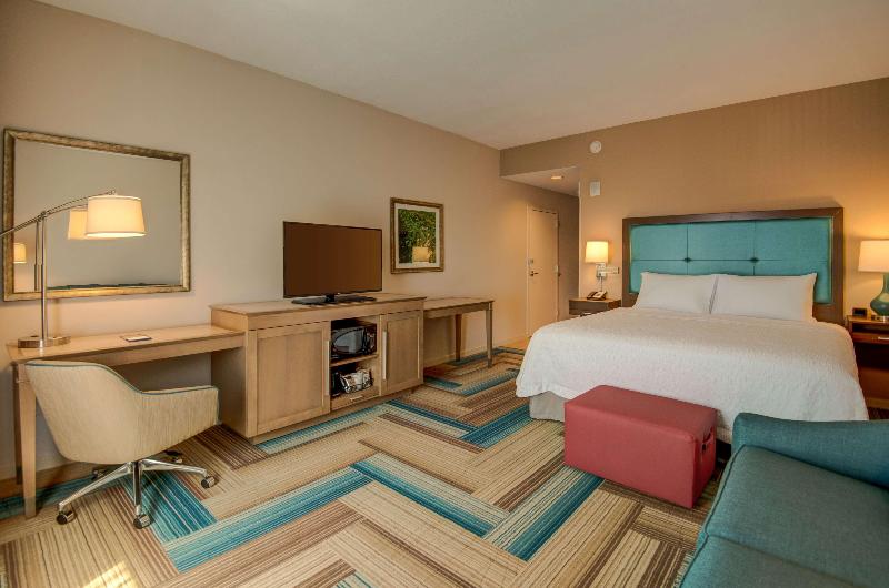 스탠다드 룸 킹사이즈 침대, Hampton Inn By Hilton Plant City