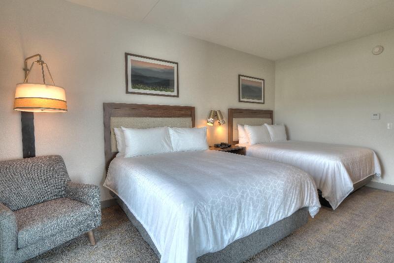스탠다드 룸 킹사이즈 침대, Hampton Inn By Hilton Plant City
