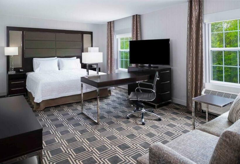 이그제큐티브 스위트 킹침대, Hampton Inn & Suites Bridgewater