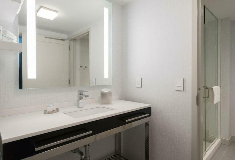 장애인을 위한 킹사이즈 침대 스탠다드 룸, Hampton Inn & Suites Bridgewater