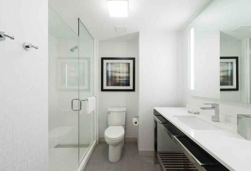 غرفة قياسية سرير كينج, Hampton Inn & Suites Bridgewater