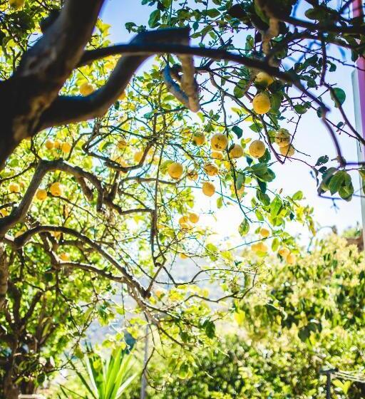 آپارتمان خانوادگی, Casa Papiro