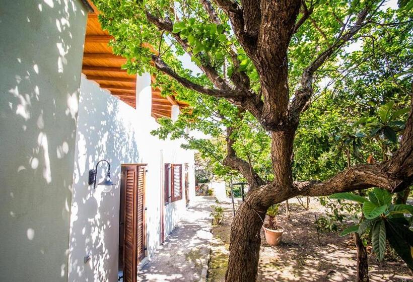 آپارتمان خانوادگی, Casa Papiro