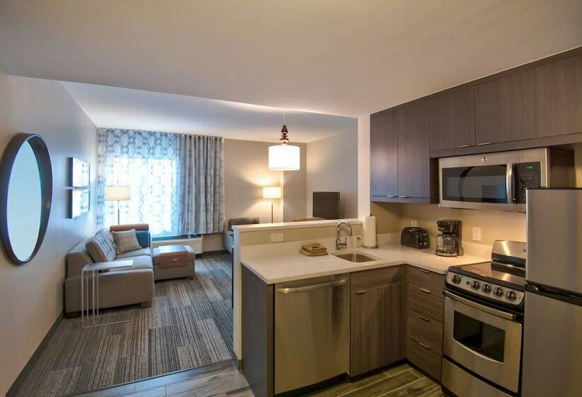 带2个卧室的套房, Towneplace Suites By Marriott Miami Airport