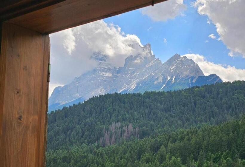 اتاق استاندارد با بالکن, Nevada