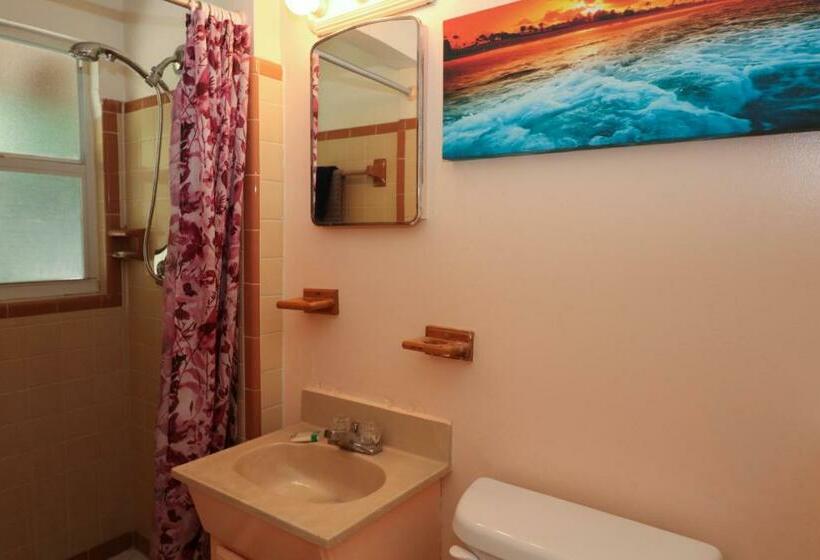 סטודיו סטנדרט, מיטה זוגית, Grove City Motel