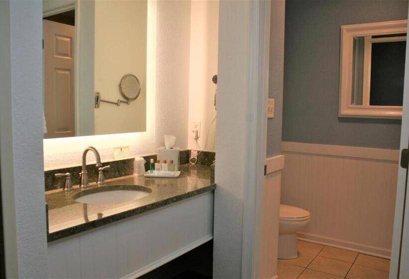 اتاق استاندارد با تخت بزرگ, Avenue Inn & Spa