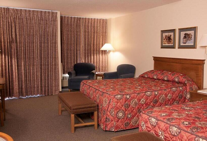 Номер Deluxe, Bear Lodge