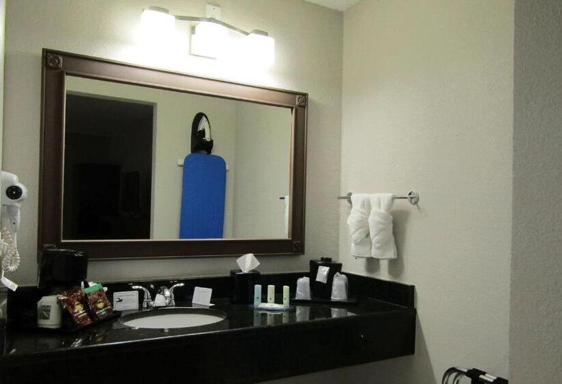 Люкс Кровать Кинг, Quality Inn & Suites Kissimmee By The Lake