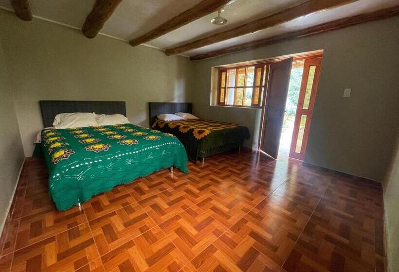 Habitación Estándar, Albergue Casa De Piedra   Vaquería