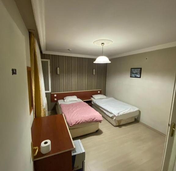 Трехместный Номер Deluxe, Aras Hotels çorlu