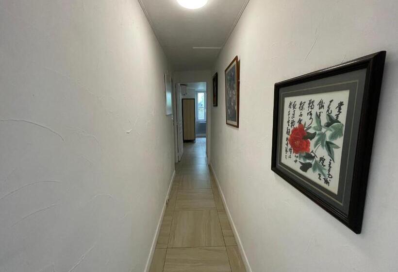 Apartamento 1 Dormitório, Le Doolie S   Hostel B&b