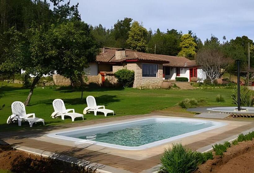 Дом 1 Спальня, Cabaña En La Costa De Pelluhue