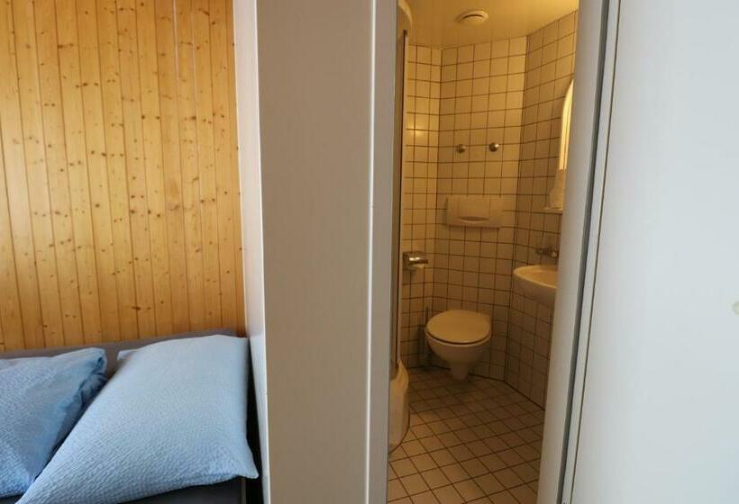 Номер Economy, Berghotel Distelboden