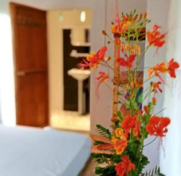 Quarto Estandar Interior, Dragonfly Guesthouse