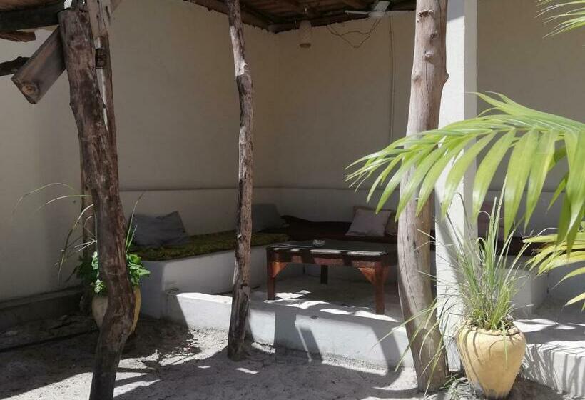 패밀리 룸, Summer Dream Lodge