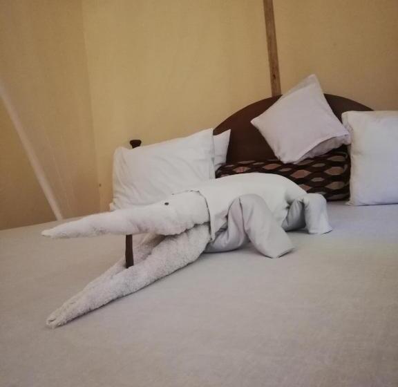 스탠다드 룸 킹사이즈 침대, Summer Dream Lodge