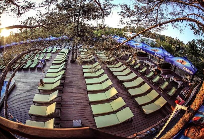 آپارتمان 1 خوابه, Tree House Relax Park