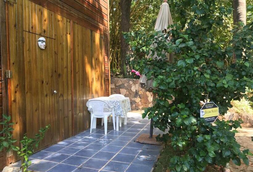 استودیوی استاندارد, Roatan Bed & Breakfast Apartments