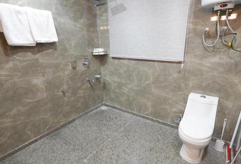 Номер Стандарт, Villa Homey Inn , Srinagar