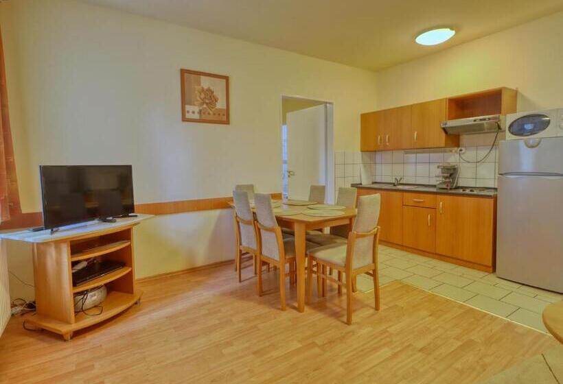 Апартаменты 1 Спальня Нижний Этаж, Villa Park Apartmanház