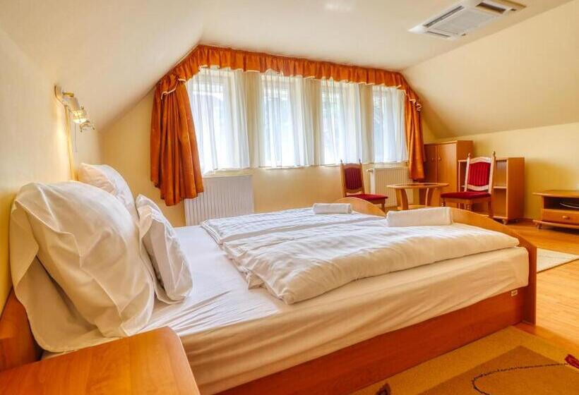 Апартаменты 1 Спальня с Видом, Villa Park Apartmanház