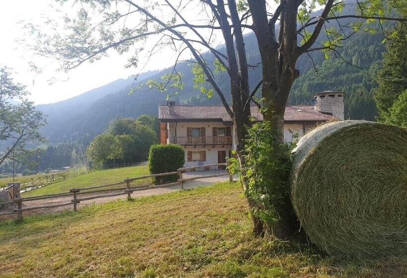Семейный Номер, B&b La Paganina