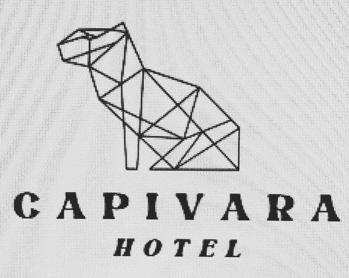침실 1개 아파트, Capivara