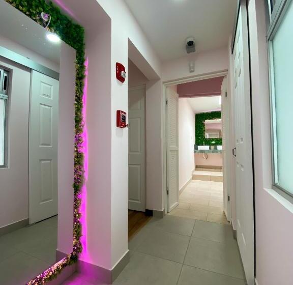 스탠다드 룸 공동 욕실, Casa Pandora Hostel Women Only