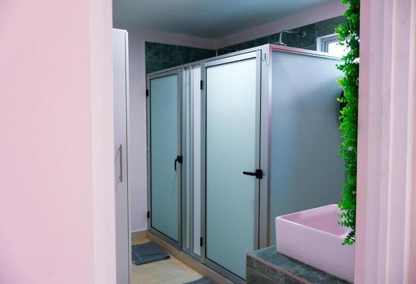 스탠다드 룸 공동 욕실, Casa Pandora Hostel Women Only