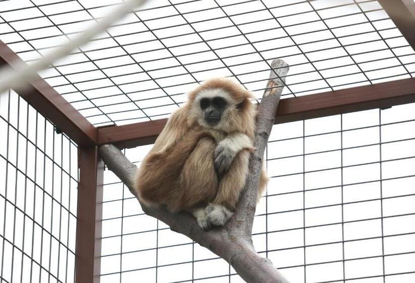 Семейный Номер, Faunapark Lipová Lázně