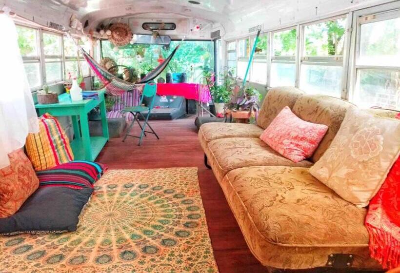 정원 전망 4인용 스탠다드 룸, Rainbow Caravan Hostel