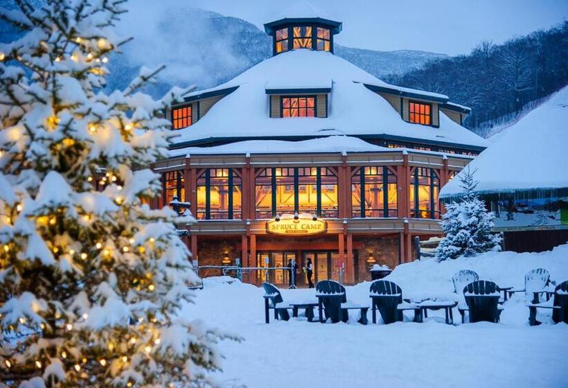 Апартаменты 1 Спальня, 1122 Guest Room The Pines Lodge At Spruce Peak Ski In Ski Out