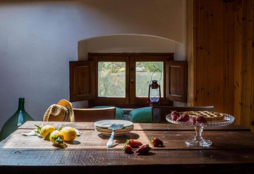 带1个卧室的顶楼公寓, Agriturismo Pane E Vino