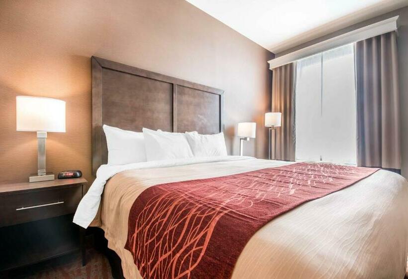 Стандартный Номер Кровать Кинг, Comfort Inn & Suites Merritt