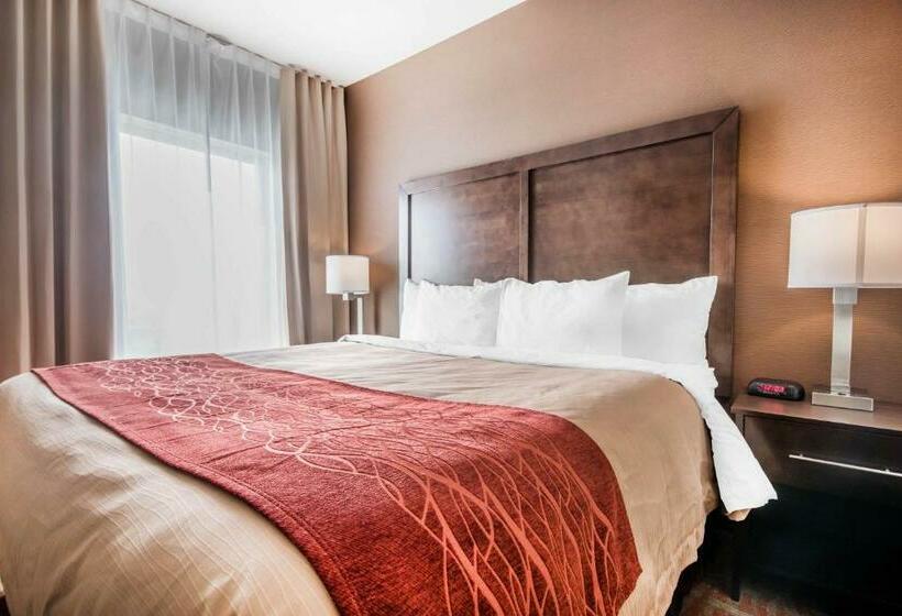 Люкс Кровать Кинг, Comfort Inn & Suites Merritt