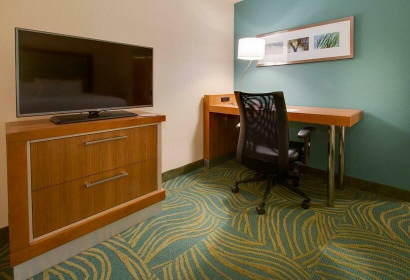 Люкс, Springhill Suites By Marriott Orlando Lake Buena Vista South