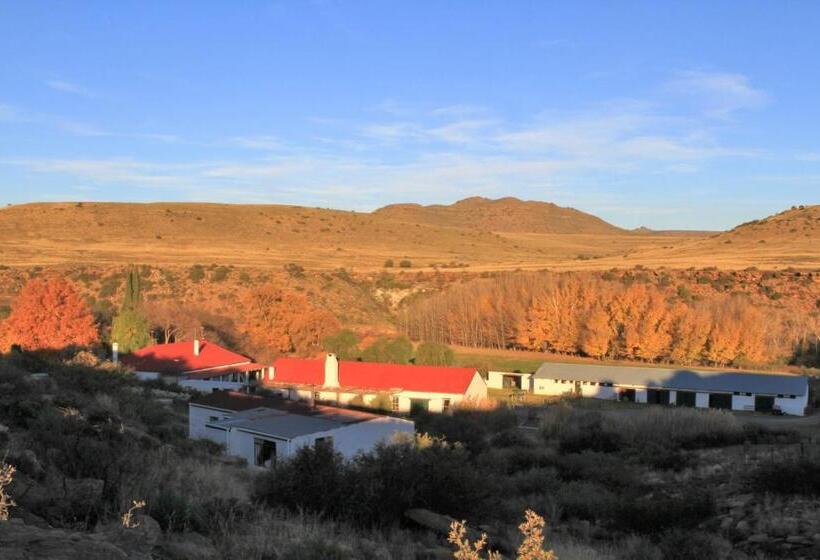 Хижина, Ganora Guest Farm, Camping And Excursions