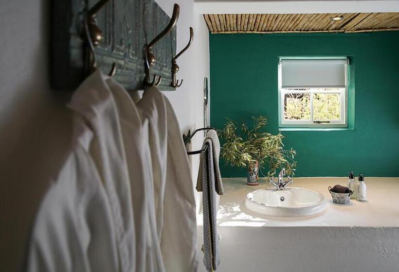 기본룸, Dennehof Karoo Guesthouse
